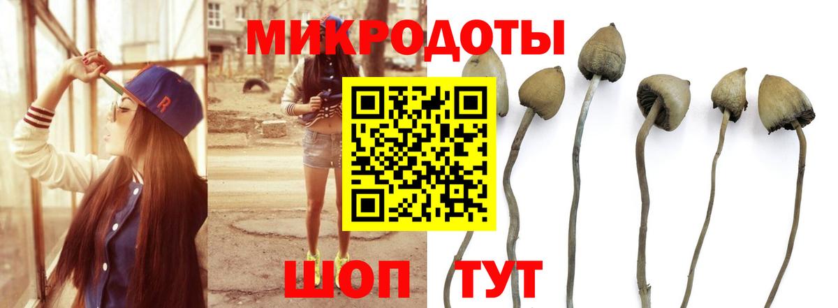 Галлюциногенные грибы Magic Shrooms  где можно купить   Соликамск  Вход с VPN 